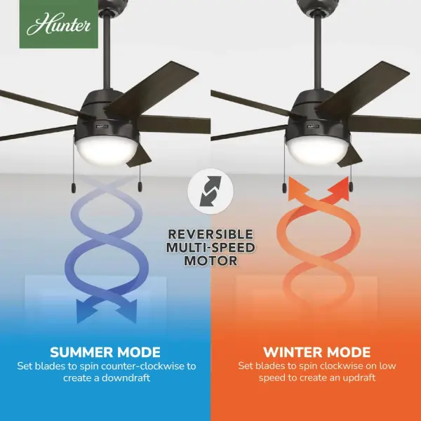 Anslee with LED Light 52 inch - Image 16