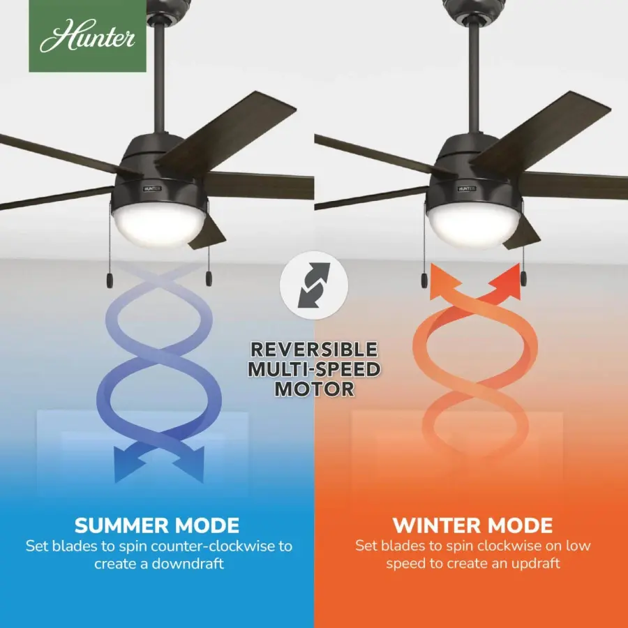 Anslee with LED Light 52 inch - Image 16