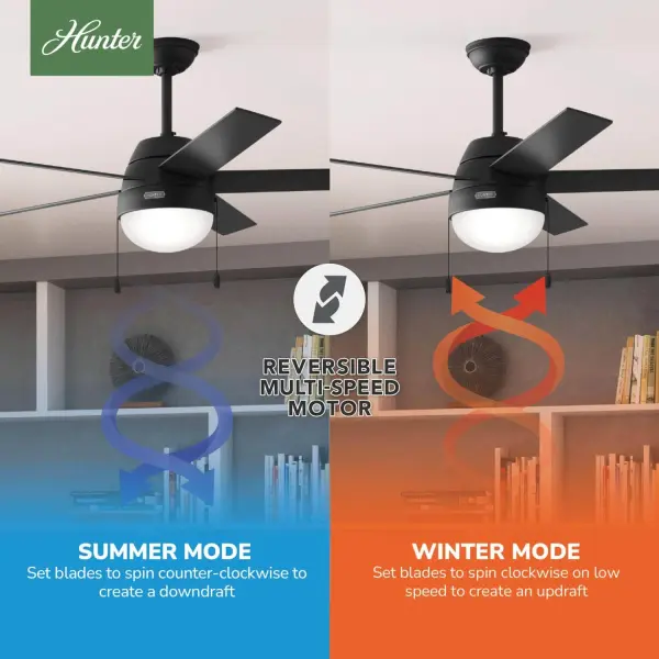 Anslee with LED Light 52 inch - Image 18