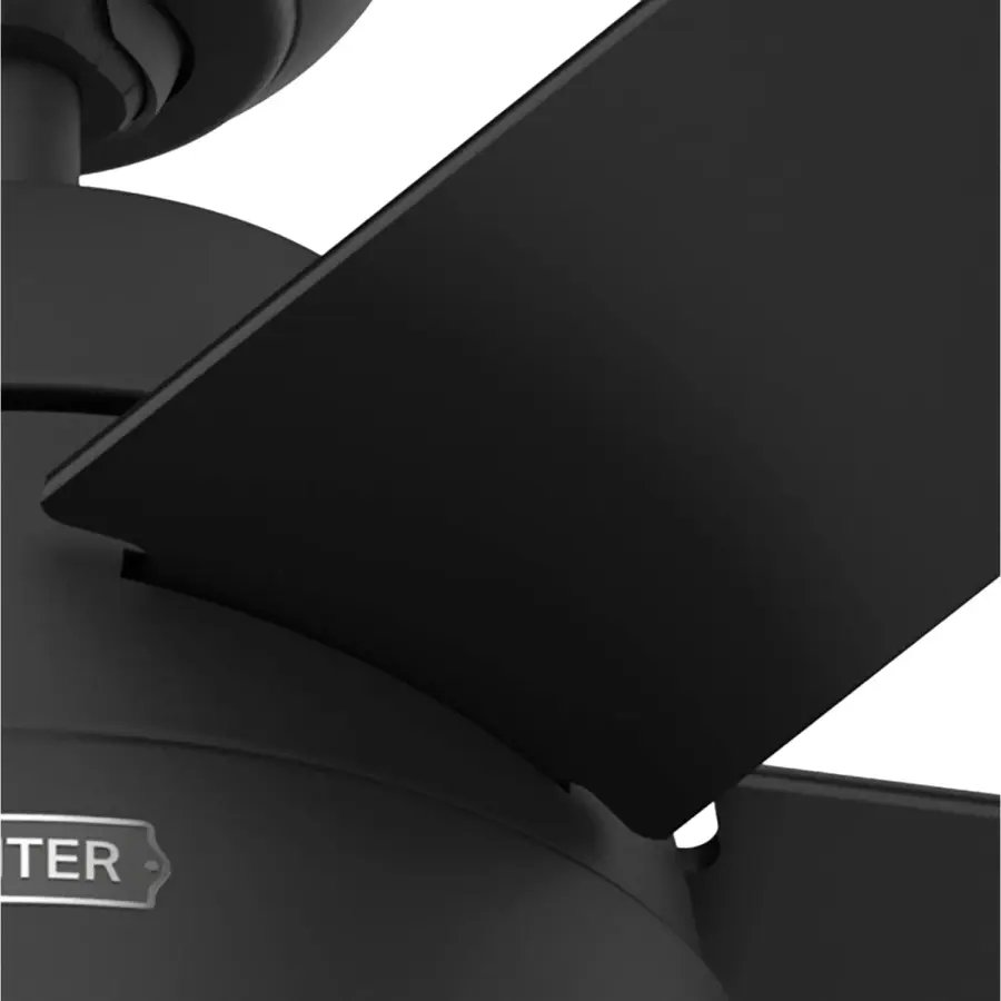 Anslee with LED Light 52 inch - Image 34