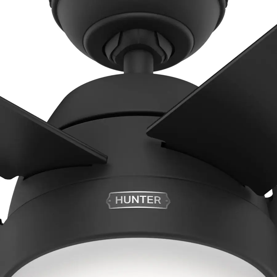 Anslee with LED Light 52 inch - Image 38