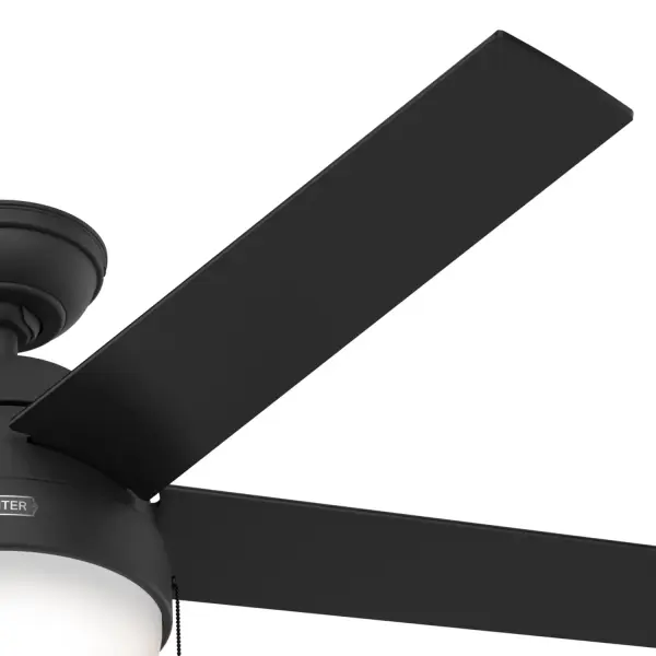 Anslee with LED Light 52 inch - Image 46