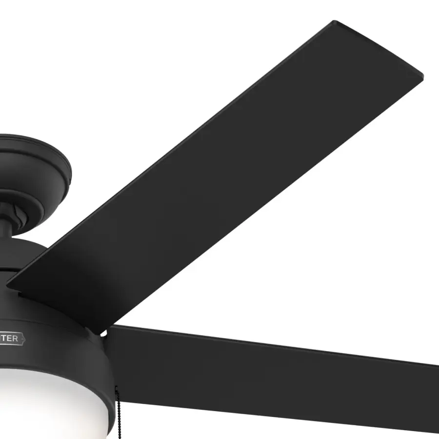 Anslee with LED Light 52 inch - Image 46