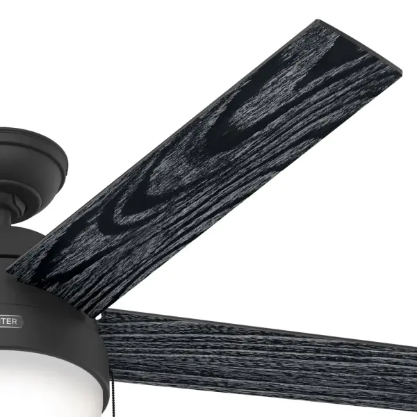 Anslee with LED Light 52 inch - Image 50