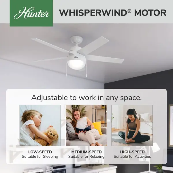 Anslee with LED Light 52 inch - Image 51