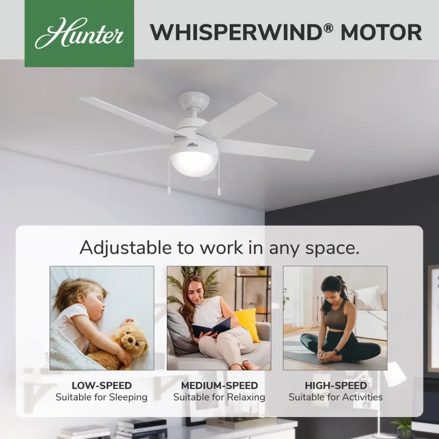 Anslee with LED Light 52 inch - Image 51