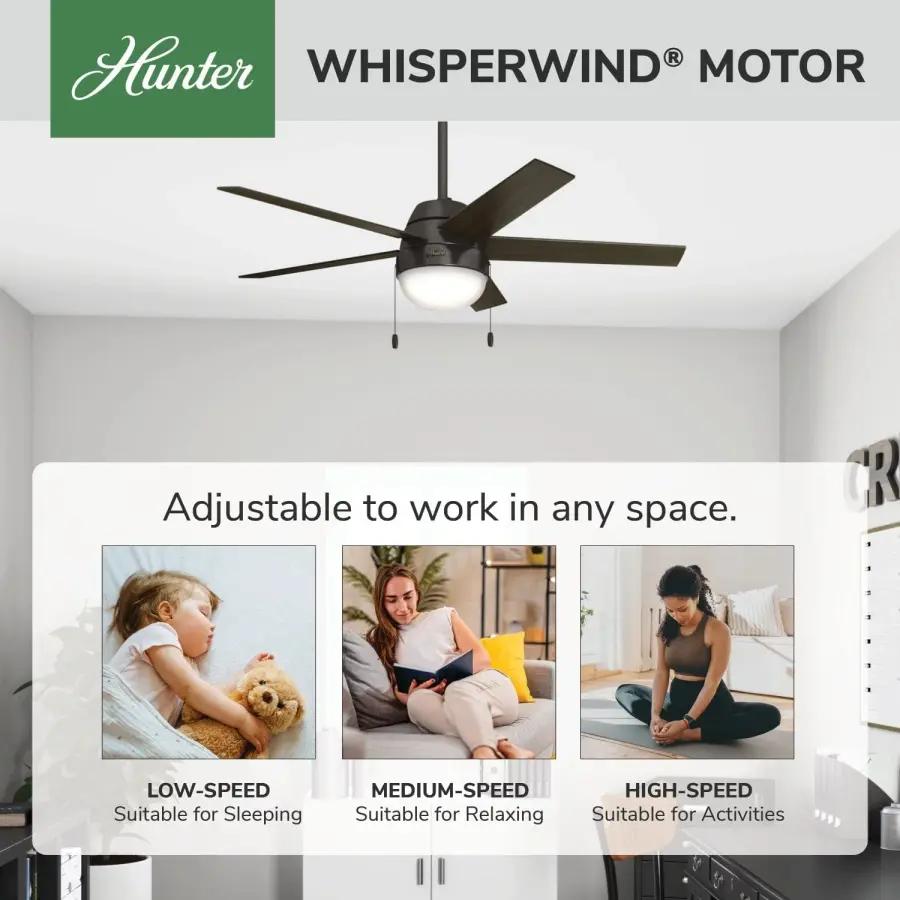 Anslee with LED Light 52 inch - Image 52