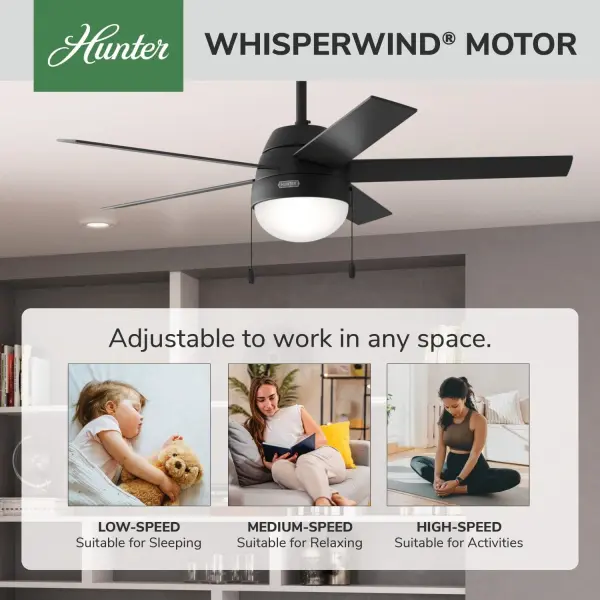 Anslee with LED Light 52 inch - Image 54