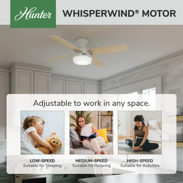 Dempsey Low Profile with Light 52 inch - Image 96