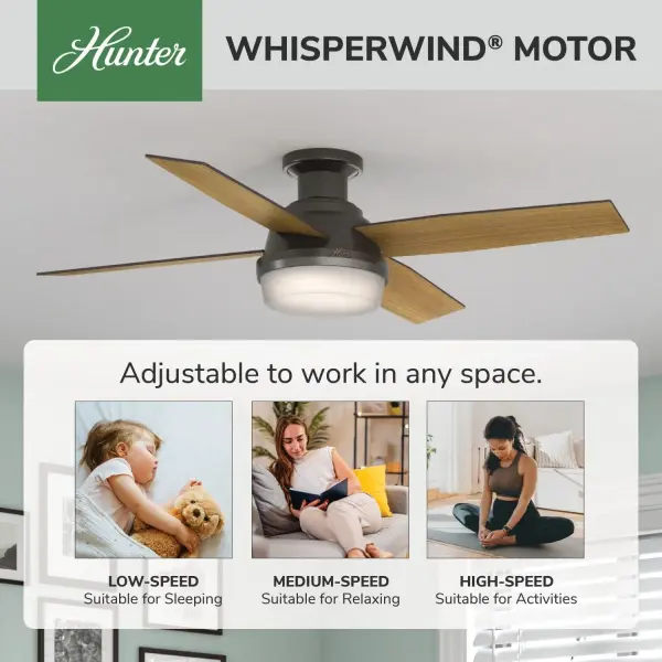 Dempsey Low Profile with Light 52 inch - Image 98