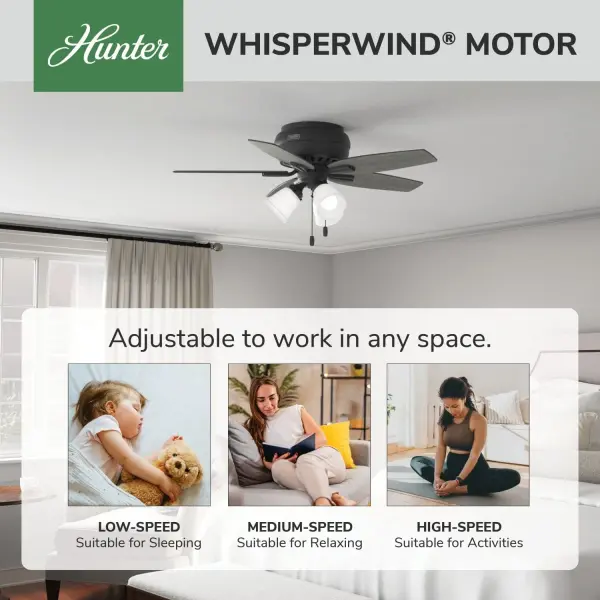 Newsome Low Profile with 3 Lights 42 inch - Image 35