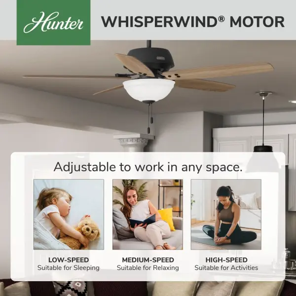 Reveille with Bowl LED 60 in - Image 14