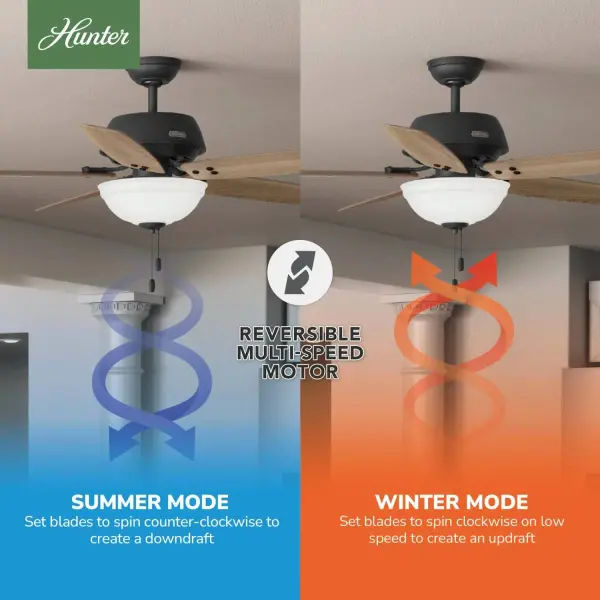 Reveille with Bowl LED 60 in - Image 6