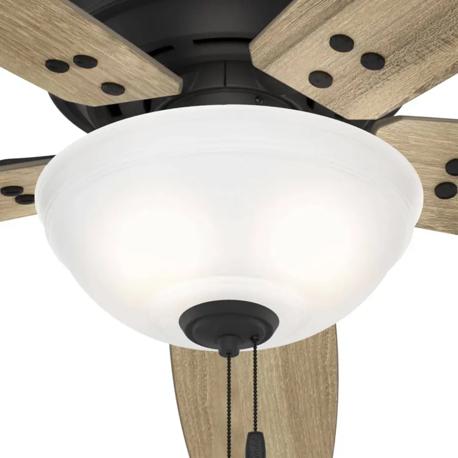 Reveille with Bowl LED 60 in - Image 9