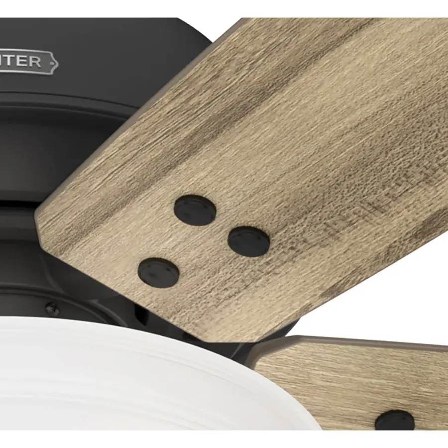 Reveille with Bowl LED 60 in - Image 10