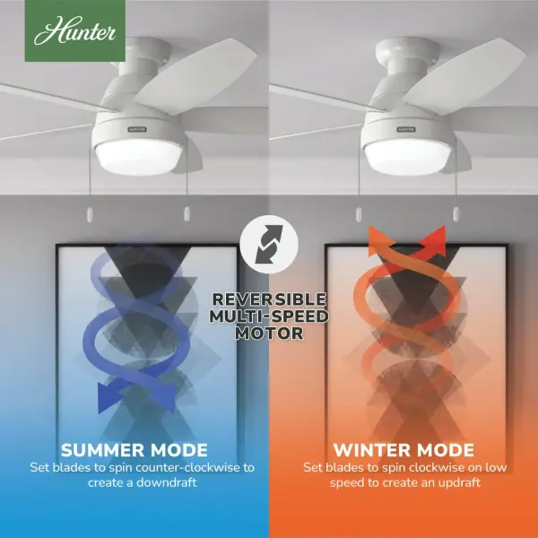 Lilliana with 2 LED Lights 52 inch - Image 12