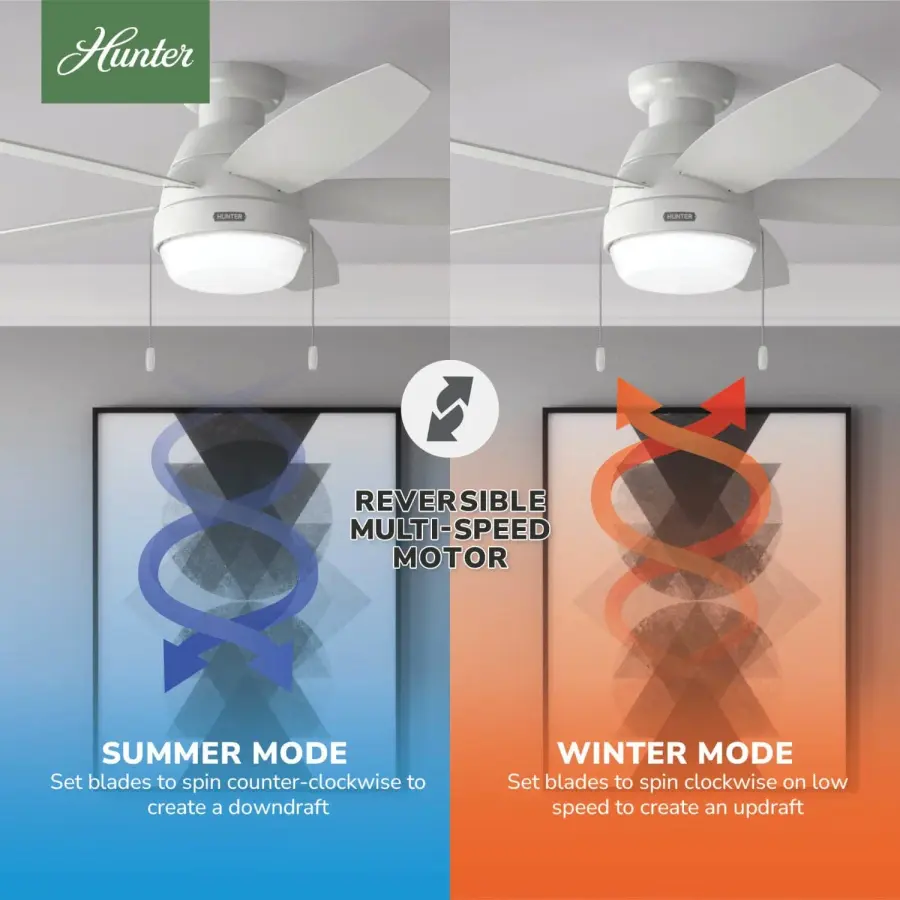 Lilliana with 2 LED Lights 52 inch - Image 12