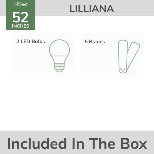 Lilliana with 2 LED Lights 52 inch - Image 17