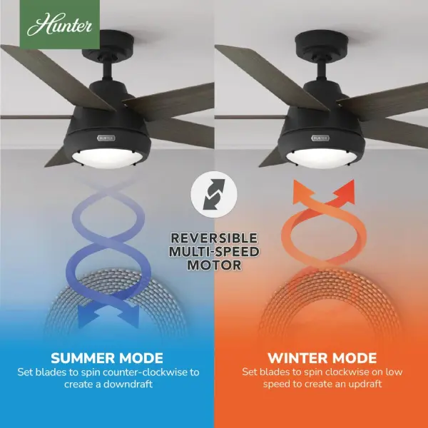 Burroughs 2 LED Lights 52inch - Image 13