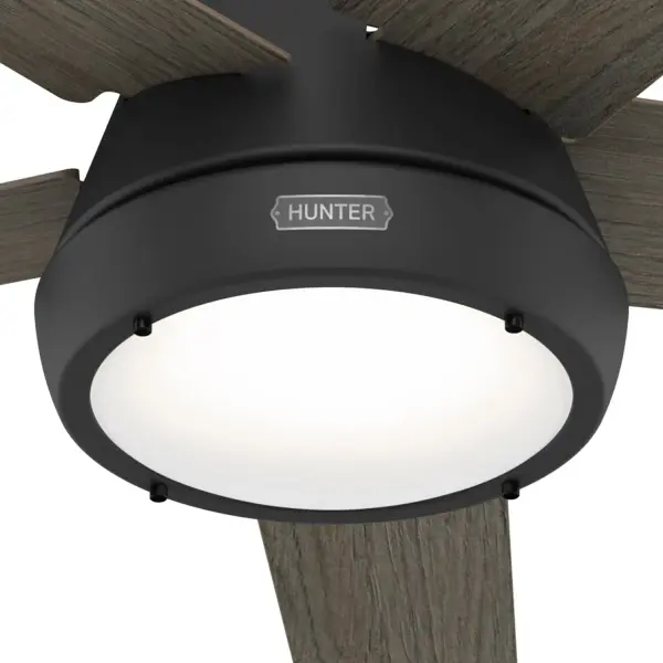 Burroughs 2 LED Lights 52inch - Image 21