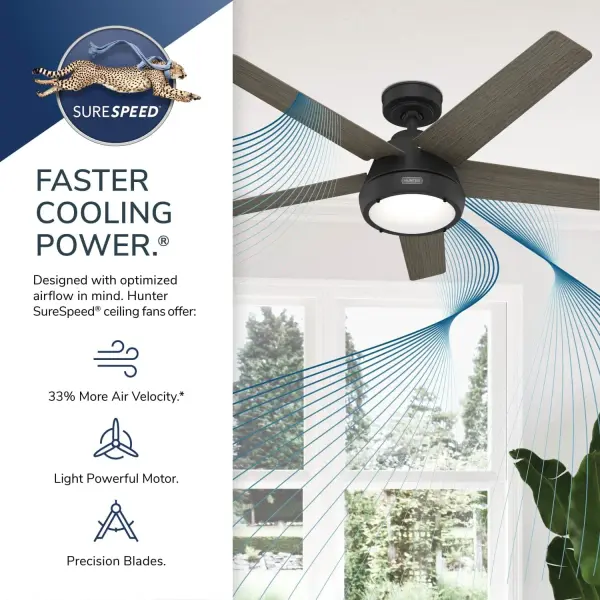 Burroughs 2 LED Lights 52inch - Image 32