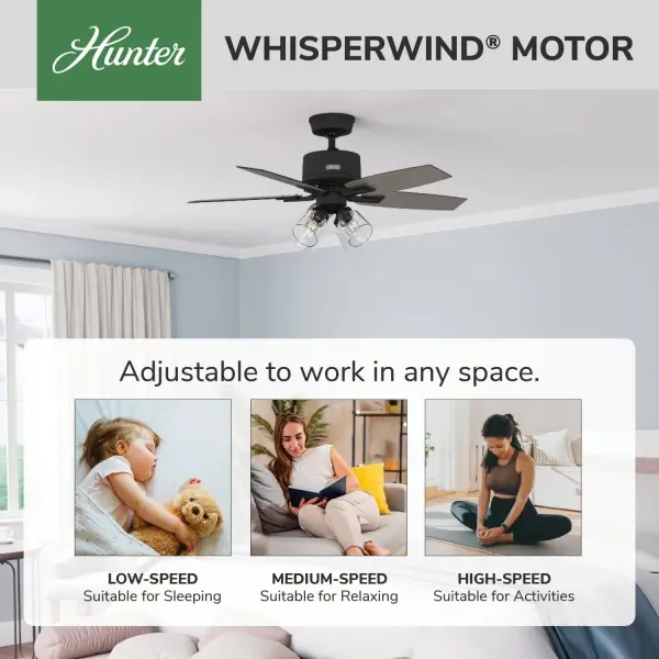 Gatlinburg with 4 Lights 44 inch - Image 36