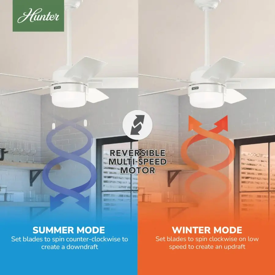 Anisten with LED Light 44 inch - Image 12