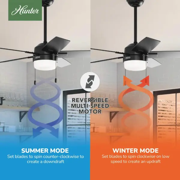 Anisten with LED Light 44 inch - Image 13