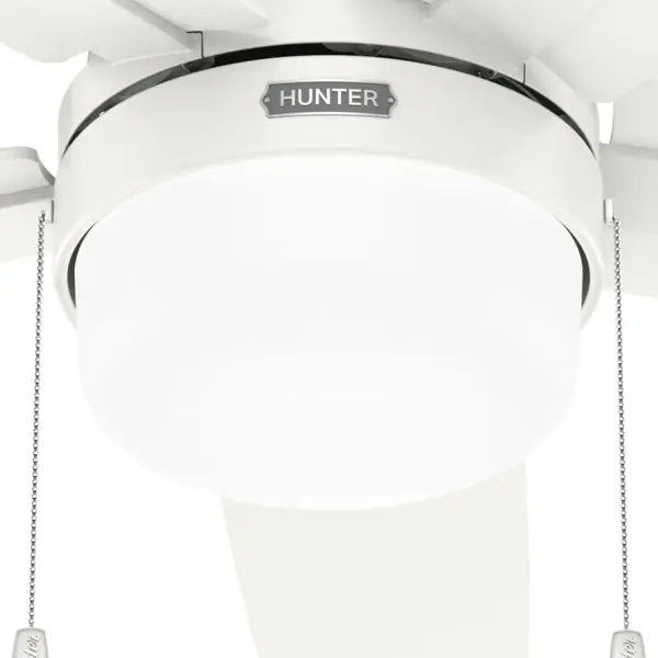 Anisten with LED Light 44 inch - Image 18