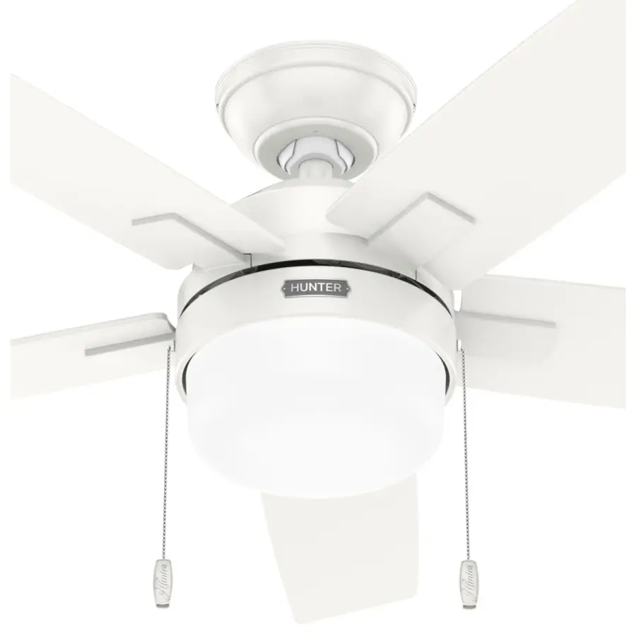 Anisten with LED Light 44 inch - Image 24