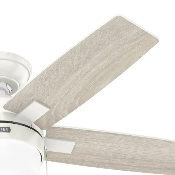 Anisten with LED Light 44 inch - Image 30