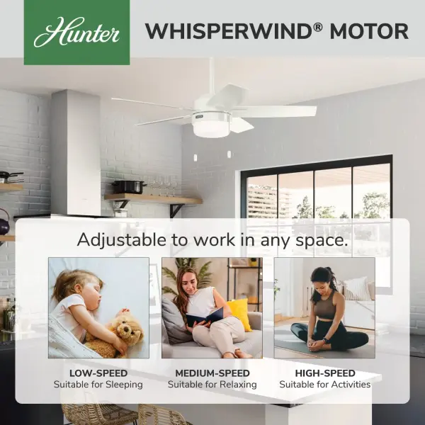 Anisten with LED Light 44 inch - Image 34