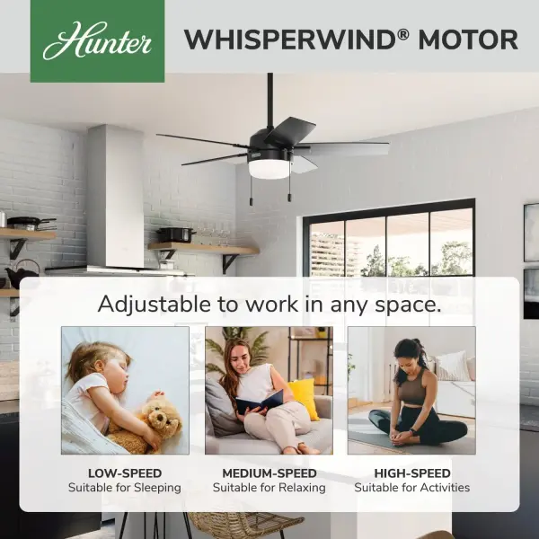 Anisten with LED Light 44 inch - Image 35