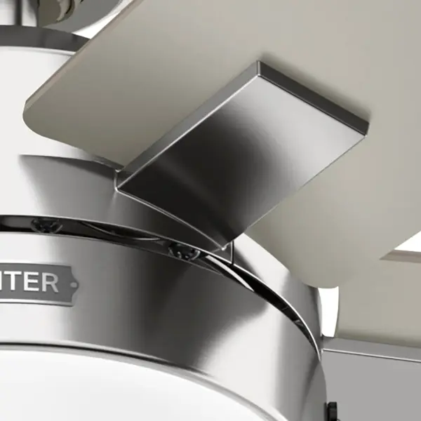 Anisten with LED Light 44 inch - Image 38