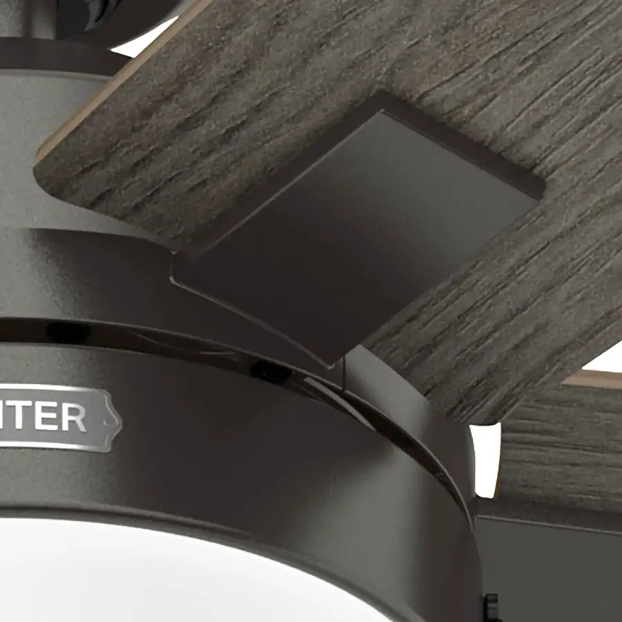 Anisten with LED Light 44 inch - Image 39