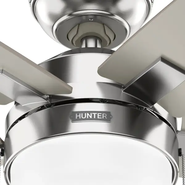 Anisten with LED Light 44 inch - Image 42