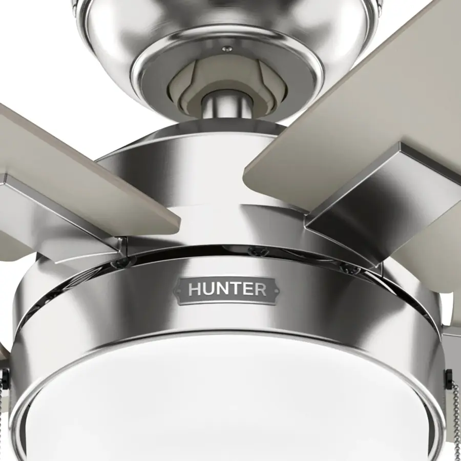 Anisten with LED Light 44 inch - Image 42