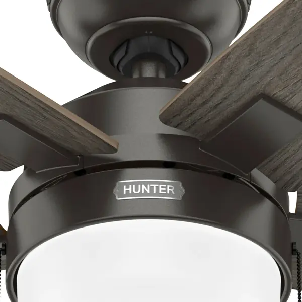 Anisten with LED Light 44 inch - Image 43