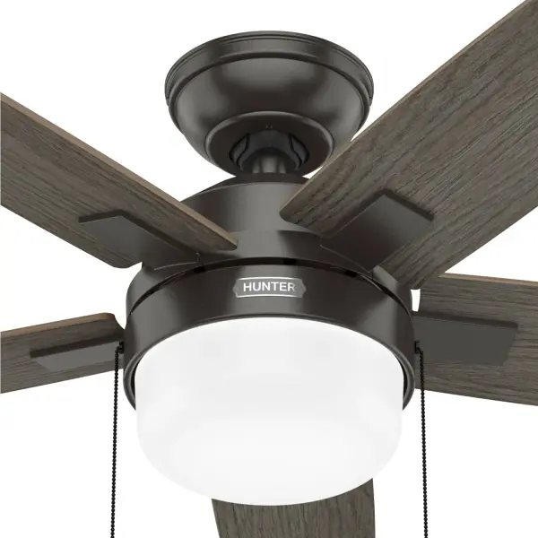 Anisten with LED Light 44 inch - Image 47