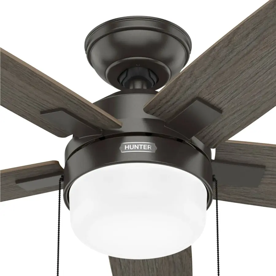 Anisten with LED Light 44 inch - Image 47