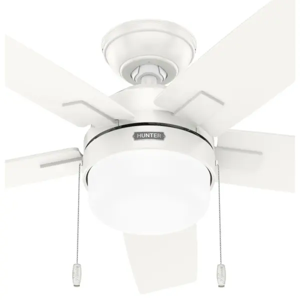 Anisten with LED Light 44 inch - Image 48