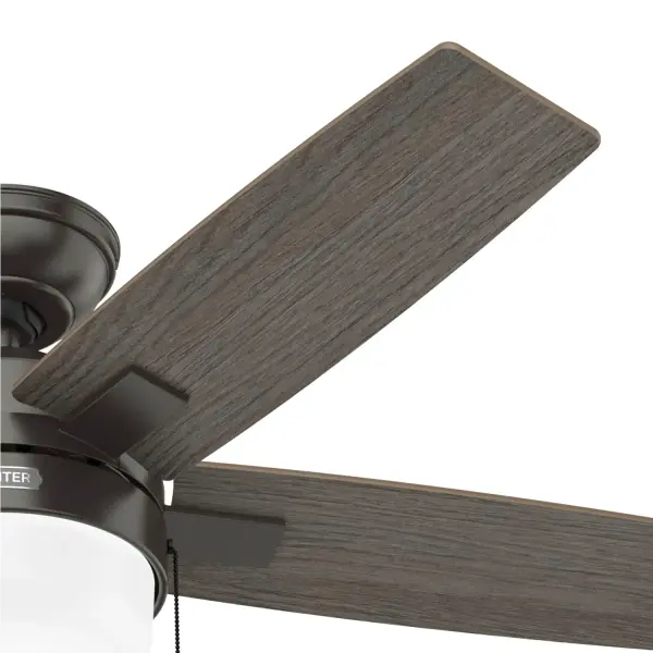 Anisten with LED Light 44 inch - Image 53