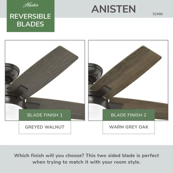 Anisten with LED Light 44 inch - Image 65