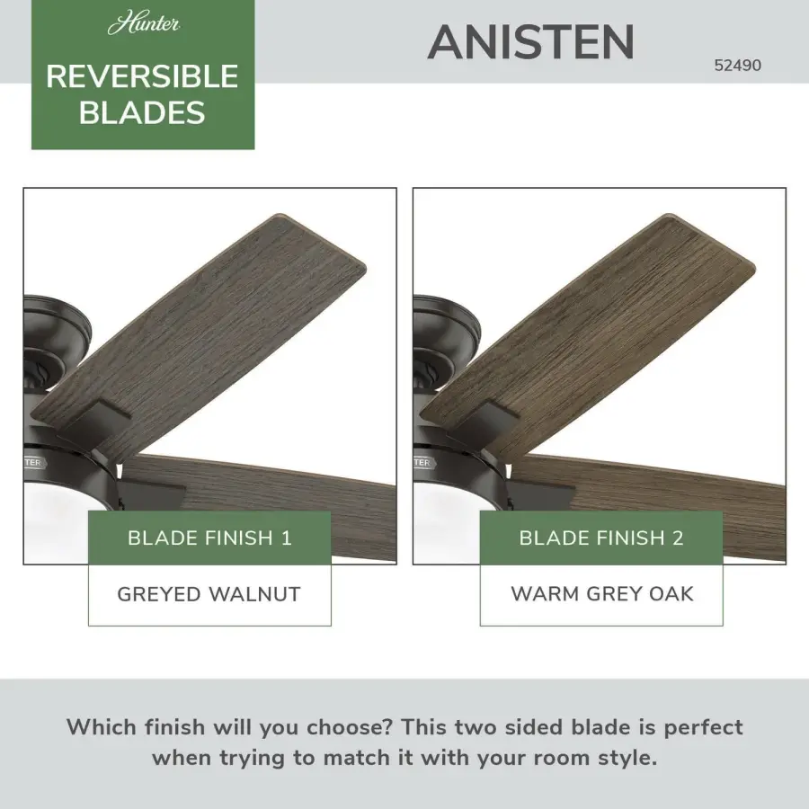 Anisten with LED Light 44 inch - Image 65