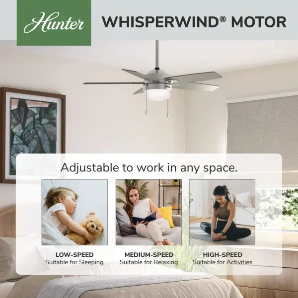 Anisten with LED Light 44 inch - Image 66