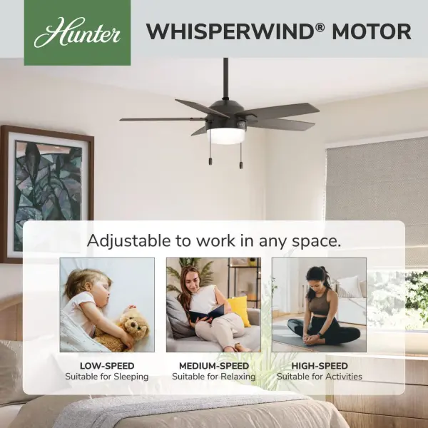 Anisten with LED Light 44 inch - Image 67