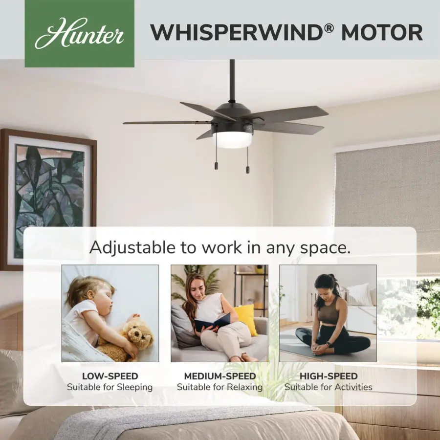 Anisten with LED Light 44 inch - Image 67