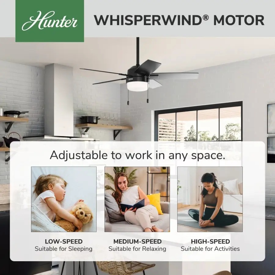 Anisten with LED Light 44 inch - Image 69