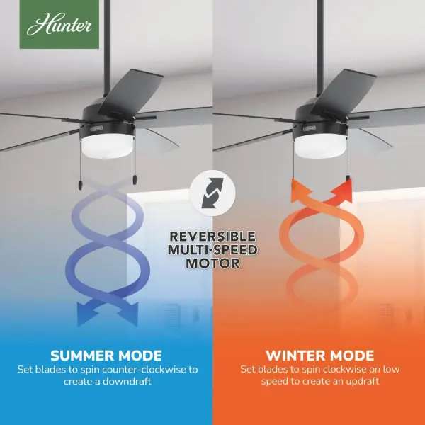 Anisten LED Light 52 inch - Image 12