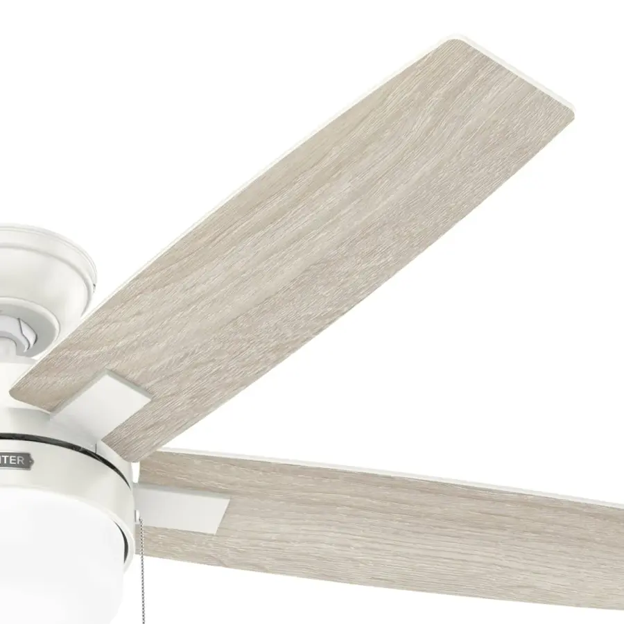 Anisten LED Light 52 inch - Image 31